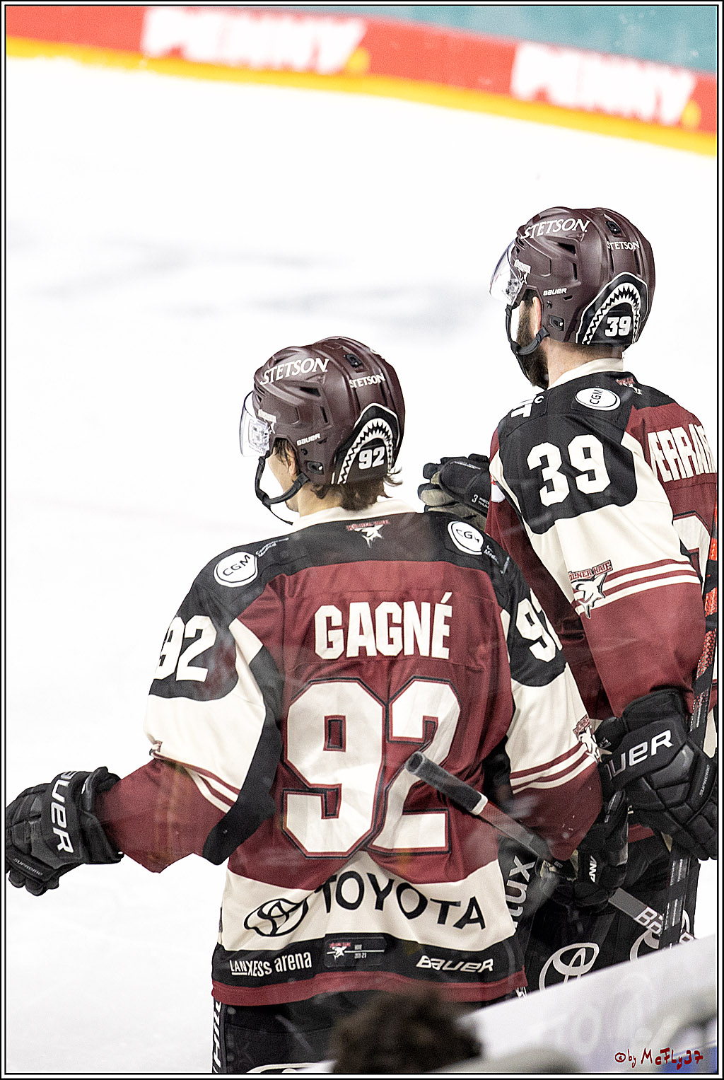 PENNY DEL;  Koelner Haie - Nuernberger Ice Tigers; Koeln, 25.03.2021